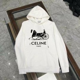 Picture of Celine Hoodies _SKUCelinem-5xlkdt0110281